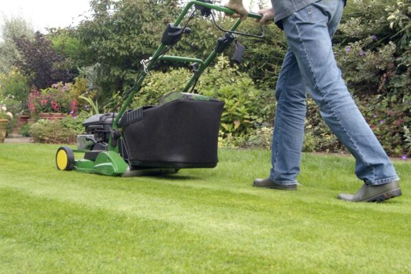 Trending add-ons to enhance your lawn